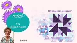 Dobbelt Asters - Tag et smugkig